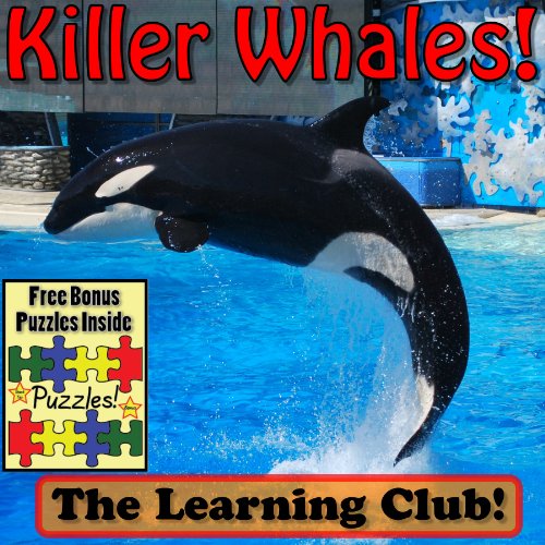 Killer Whales! Learn About Killer Whales And Learn To Read - The Learning Club! (45+ Photos of Killer Whales)