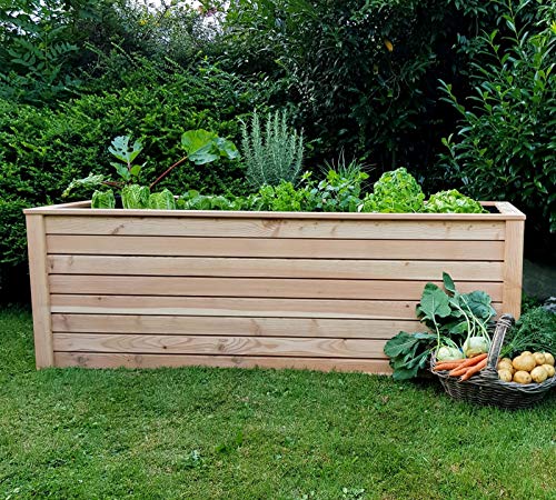 Koll Living Hochbeet aus Lärche, 190x100x65 cm, aus nachhaltiger europäischer Forstwirtschaft - nutzbar als Pflanzkasten, Kräuterbeet oder Anzuchtbeet - Lieferung inkl. Kleineisen und Pflanzfolie Grau – Bild 3