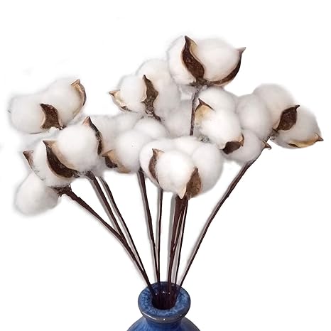 Dongliflower 30 Pcs White Natural Cotton Boll Balls Wire Stem 12 Length For Floral Arrangement