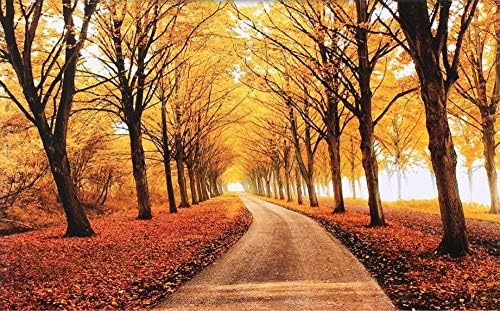 Fondo De Pantalla Hojas Doradas Otono Paisaje Tv Fondo Pared Fondos De Pantalla Para Sala 19 Estilo 3d Fondo De Pantalla Wgop 350cmx245cm Amazon Es Bricolaje Y Herramientas