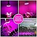 36W LED Grow Light Bulb, Levin Plant Light Bulb E26 Bulbs Input 85~265V for Indoor Garden Greenhouse and Hydroponic Plants Full Spectrum