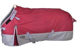 Reinsman Premium Turnout Winter Horse Blanket with 200g Fill| 1200 Denier Waterproof Top | Fleece-Lined Neck Gusset with Velcro Adjustment | 2 Criss-Cross Belly Strap,Plum/Grey, 75"