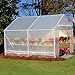 King Canopy Greenhouse 10-Feet by 10-Feet, 1 3/8-Inch Steel Frame, 6-Leg, Opaque, GH1010