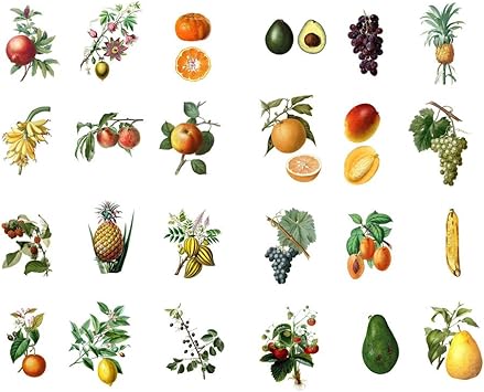 amazon com seasonstorm fresh fruits kawaii aesthetic pastel art agenda journal planner stationery stickers office products seasonstorm fresh fruits kawaii