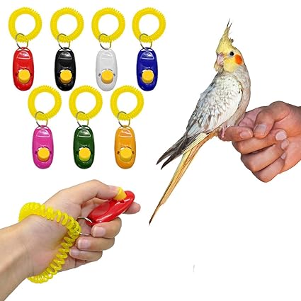 clicker training birds