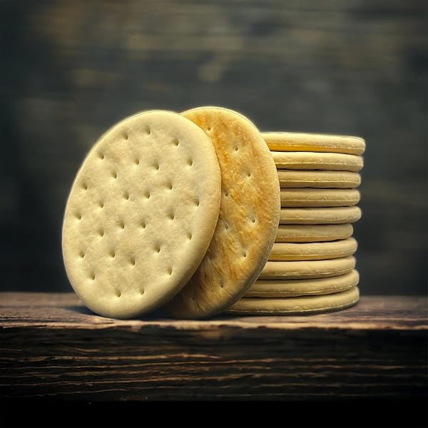 FUTURE ESSENTIAL SAILOR PILOT BREAD CRACKERS | SHIP’S BISCUIT | HARDTACK | EMERGENCY SURVIVAL FOOD | 30 YEARS SHELF LIFE | READY TO EAT #2.5 CAN SIZE (SINGLE CAN),12 SERVING PER CAN, MADE IN THE USA
