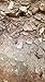 mikesgoldPaydirt 1 lb. Gold Panning Paydirt California Motherlode Black Sands,Flour Gold,Fines,Pickers