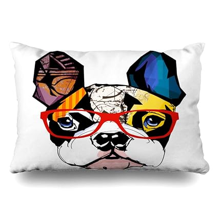 Amazon Com Diycow Throw Pillows Covers Bulldog French Graphic