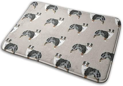 Amazon.com : Premium Super Absorbent Doormat Non Slip ...