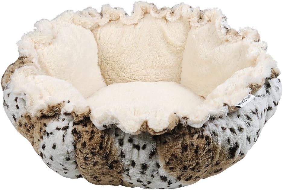 cageless boarding near me