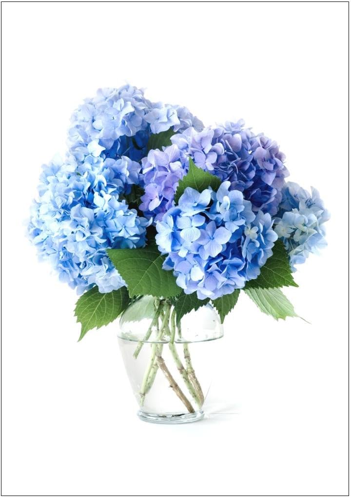 NW Pitney Ink Hydrangea Vase Birthday Card, 5 x 7 Inches (1077BD)