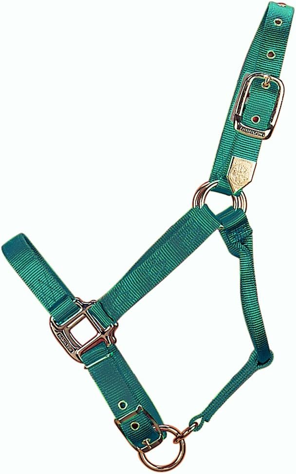 Hamilton 1-Inch Nylon Adjustable Horse Halter