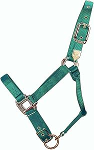 Hamilton 1-Inch Nylon Adjustable Horse Halter