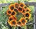 Melbourne Silk Sunflower Front Door Wreath 22 inch - Handcrafted With Designer Quality Silk Flowers - Display Outdoors In Spring, Summer, and Fall