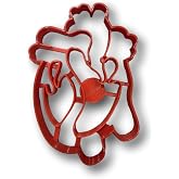 Heart Anatomy Cookie Cutter