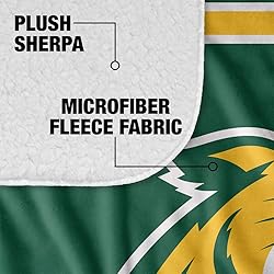 Northern Michigan University Primary Logo Stripes