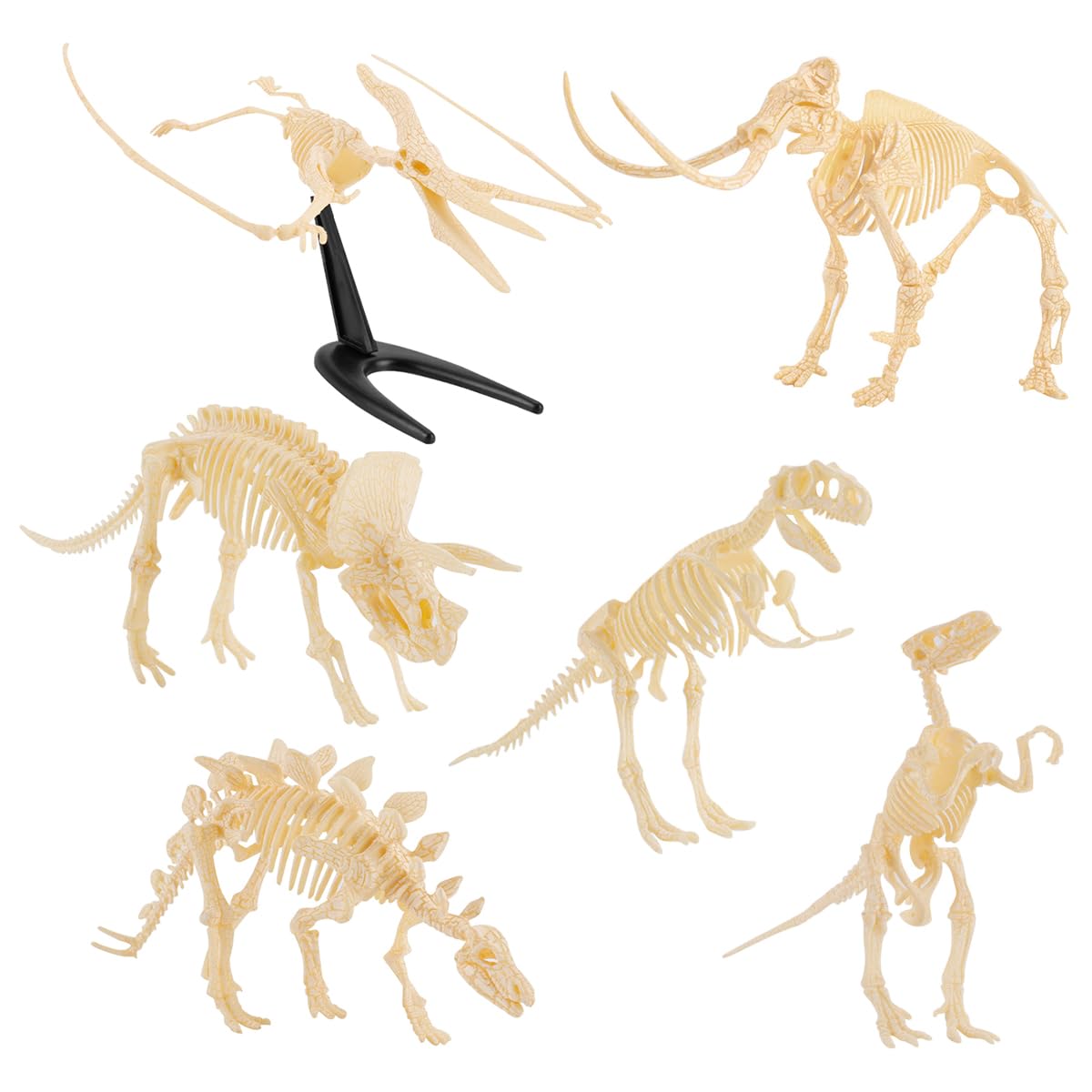 ANCLLO 6PCS Mini Dinosaur Skeleton Dinosaur Fossil Models for Dinosaur Lovers Collection