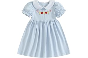 Mobbdow Toddler Girl Back to School Dress Embroidery Short Sleeve Smocked Dress First Day of Preschool Kindergarten Outfit