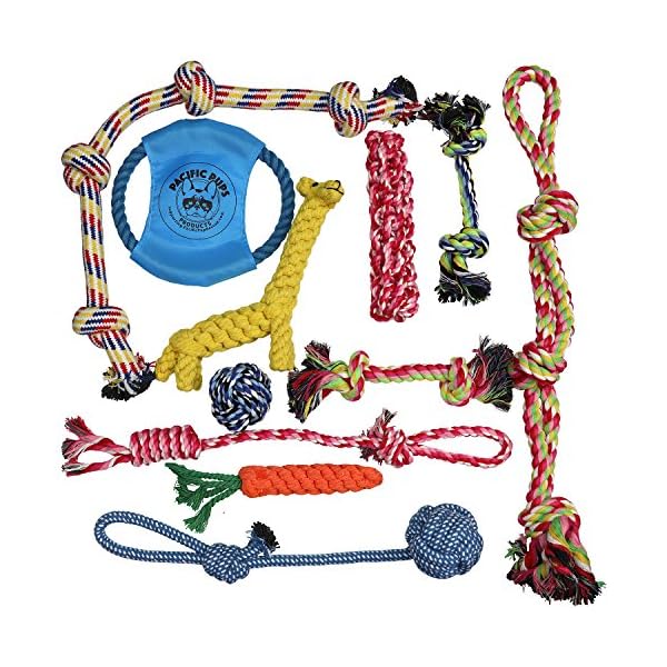 indestructible dog rope