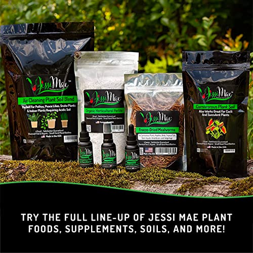 Jessi Mae Indoor Plant Food Liquid Fertilizer 111 NPK For