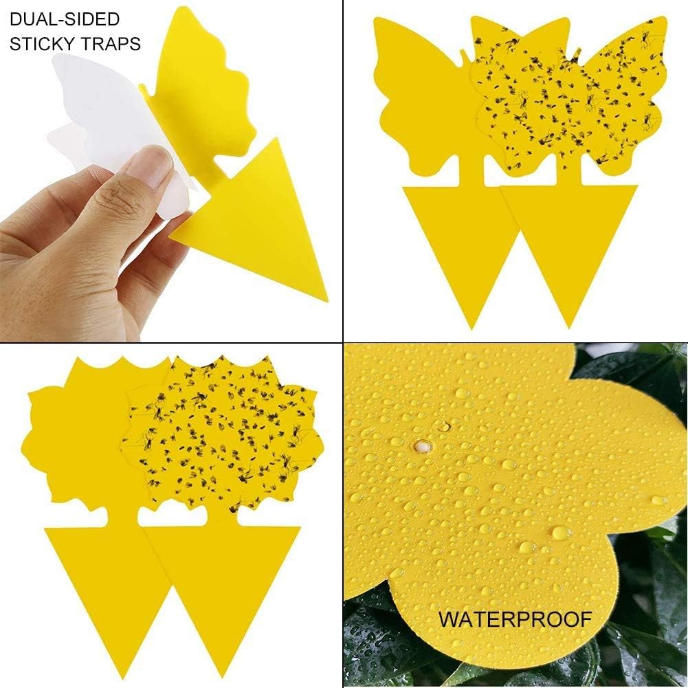 Sticky Insect Paper Liwein Yellow Sticky Fly Traps, 60 pcs Dual-sided Sticky Fly Catchers ...