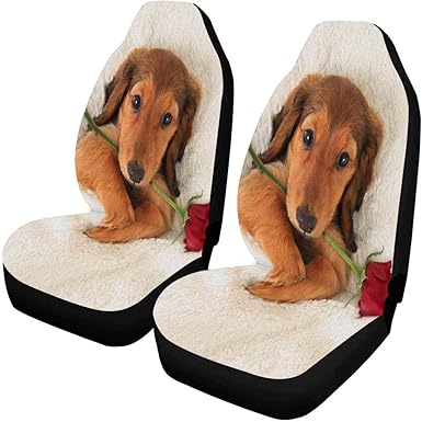 dachshund seat