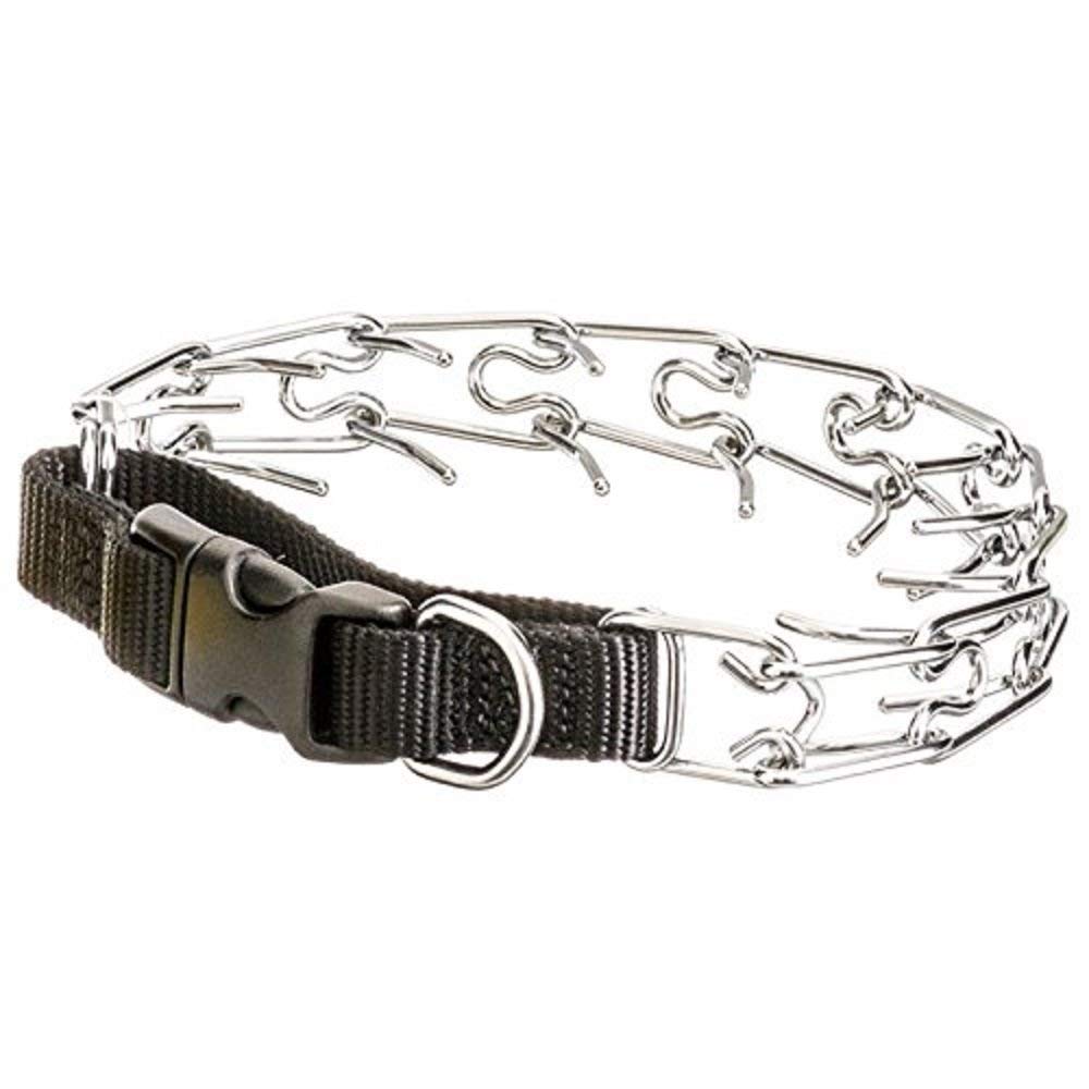titan dog collar
