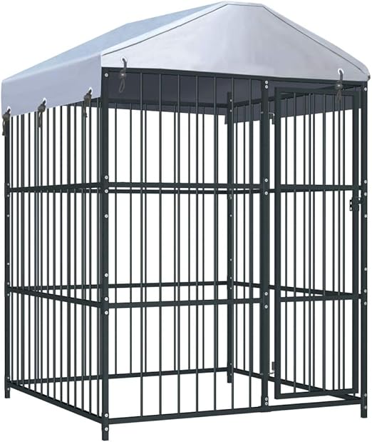 large dog kennel run