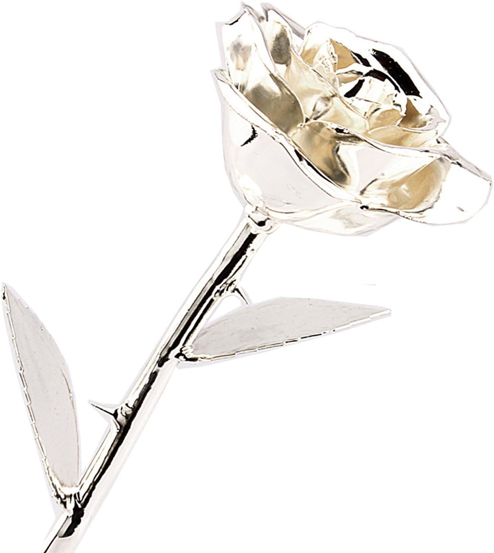 Gold Dipped Rose, Valentines Gifts for Her ZJchao 24 Carat Gold Dipped