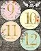 Newborn Baby Girl Gold Floral Milestone Stickers, 1st Year Belly Decals, Set of 12 Monthly Photo Props for Infant Onesie, Scrapbook Keepsake Shower Basket & Registry Gifts