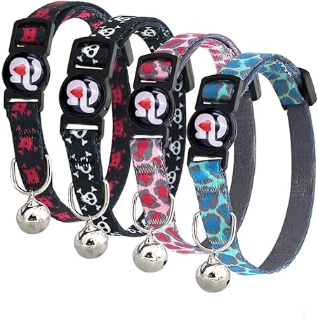kitten collar and leash