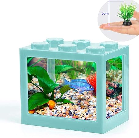 fish that need small tanks