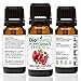BioFinest Pomegranate Seed Organic Oil - 100% Pure Cold-Pressed - Premium Quality - Best Moisturizer For Hair, Face & Skin - Rich in Antioxidant/Vitamin - FREE E-Book (10ml)