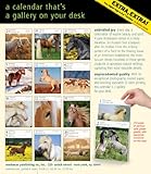 Image de Horse 2015 Gallery Calendar