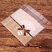 100 PCS Lovely Cute Bowknot OPP Self Adhesive Cookie Bakery Candy Biscuit Roasting Treat Gift DIY Plastic Bag (Style-18)