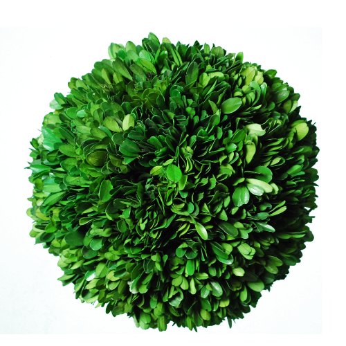 Galt international naturally preserved real boxwood decorative ba…