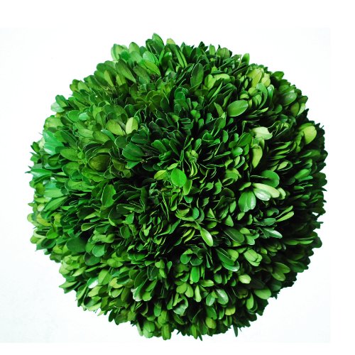 Galt International Naturally Preserved Real Boxwood Decorative Ball, 8-Inch