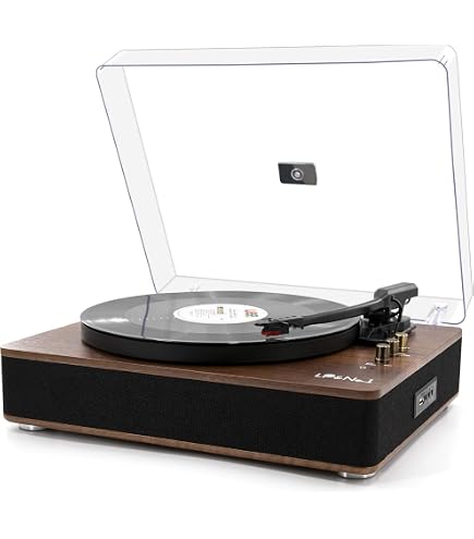 Adaptateur Disque 45 Tours Pour Tourne-Disque - Diamètre 38mm, Hauteur 7mm - Phonographe Domed