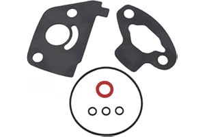YEELUZAN Complete Carburetor Rebuild Kit for Honda EU2000i Generators - Bowl Gasket Set with O-Rings & Pilot Jet Components (Multi-Piece Assembly Kit)