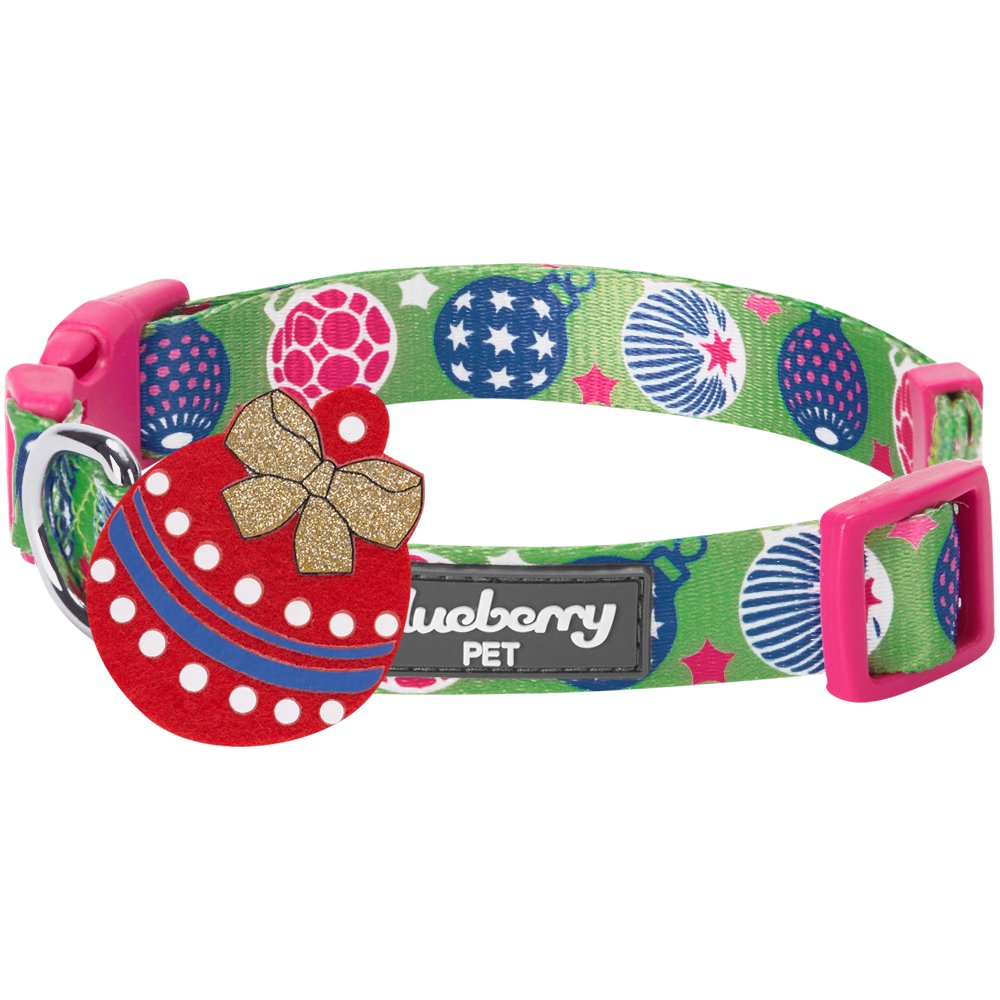 collar and leash pet store