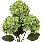 DILATATA Faux Hydrangea Large Artificial Green Hydrangea Flowers 26" Real Touch Hydrangea Flowers Lifelike Silk Hydrangea Stems for Wedding Party Garden Home Decor-Green Flowers 3PCS