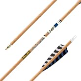 Gold Tip Traditional XT Shafts (Pack of 12)