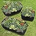 ASSR Fabric Raised Garden Bed, Rectangle Breathable Planting Container Grow Bag Planter Pot for Plants, Flowers, Vegetables size 2(L) x2(W) ft (Black)thumb 4