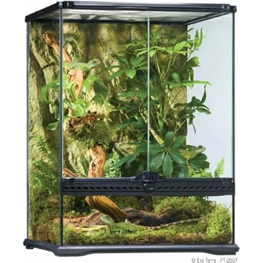 Exo Terra All Glass Terrarium Kit, for Reptiles and Amphibians