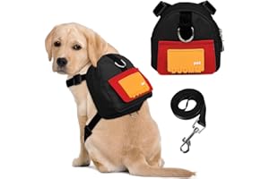 DoggieKit Dog Backpack for Small Dogs to Wear,Cute Pet Puppy Harness Backpacks with Leash Adjustable Dog Self Carrier Bag for Travel Hiking Daily Walking (M, Black)