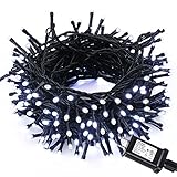 Brizled LED String Lights, 200 LED 66ft Decorative Fairy Lights with Power Supply Adapter, 120V UL Certified Mini Lights for Indoor & Outdoor, Home, Party, Wedding and Holiday Decorations, Cool White