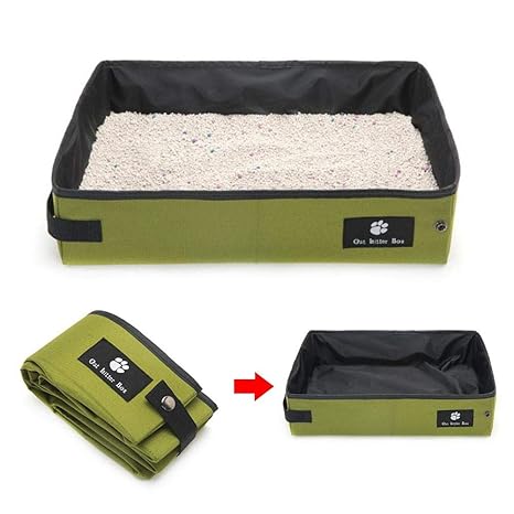 Caja de arena para gatos | Todo gatos