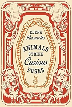 Animals Strike Curious Poses