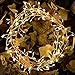 String Lights, LISOPO 8.25Ft /100 LEDs USB Powered Waterproof Photo Clip Fairy Starry Lights Led String Lights Decoration for Party, Christmas, Garden, Xmas (Warm White)