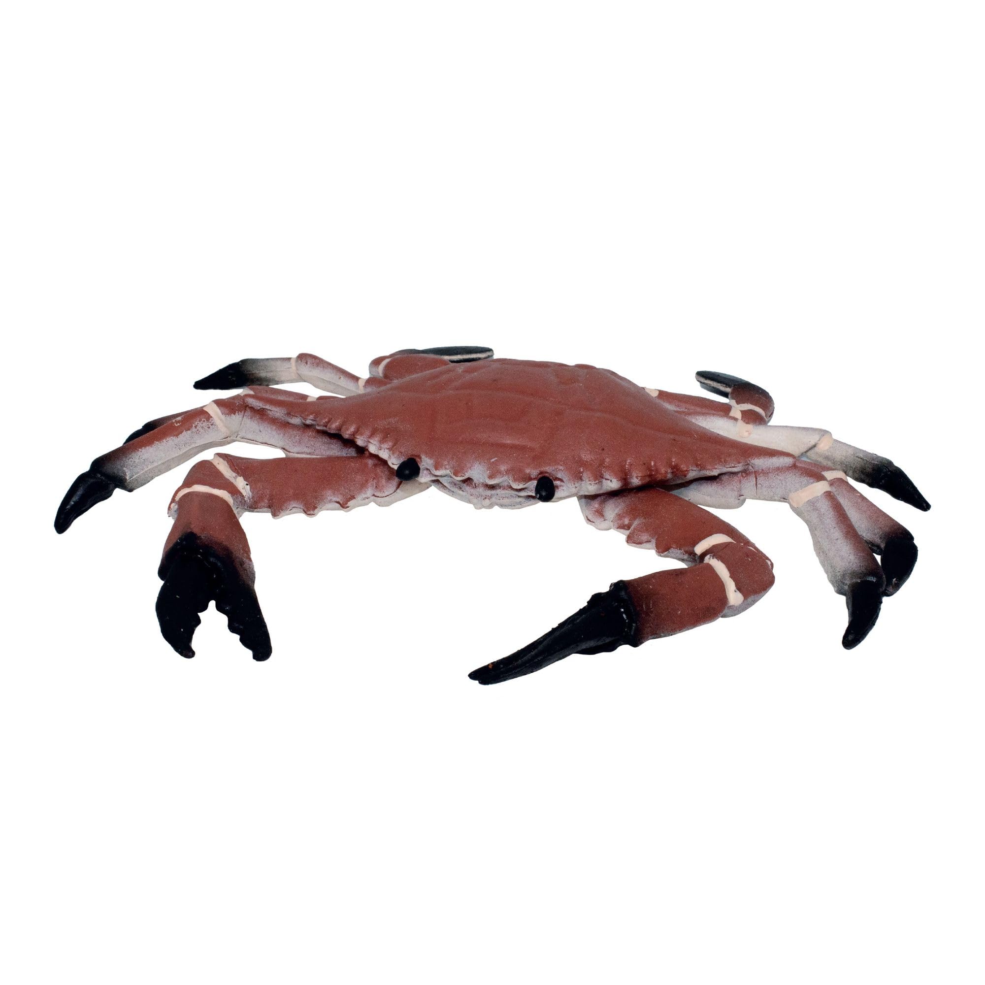 Rep Pals - Stretchy Crab Toy by Deluxebase. Animal Shaped Squishy Sensory Fidget Toys, Stress Relief Squeeze Figure, Soft Flexible Rubber, Fun Fantasy Gift for Kids